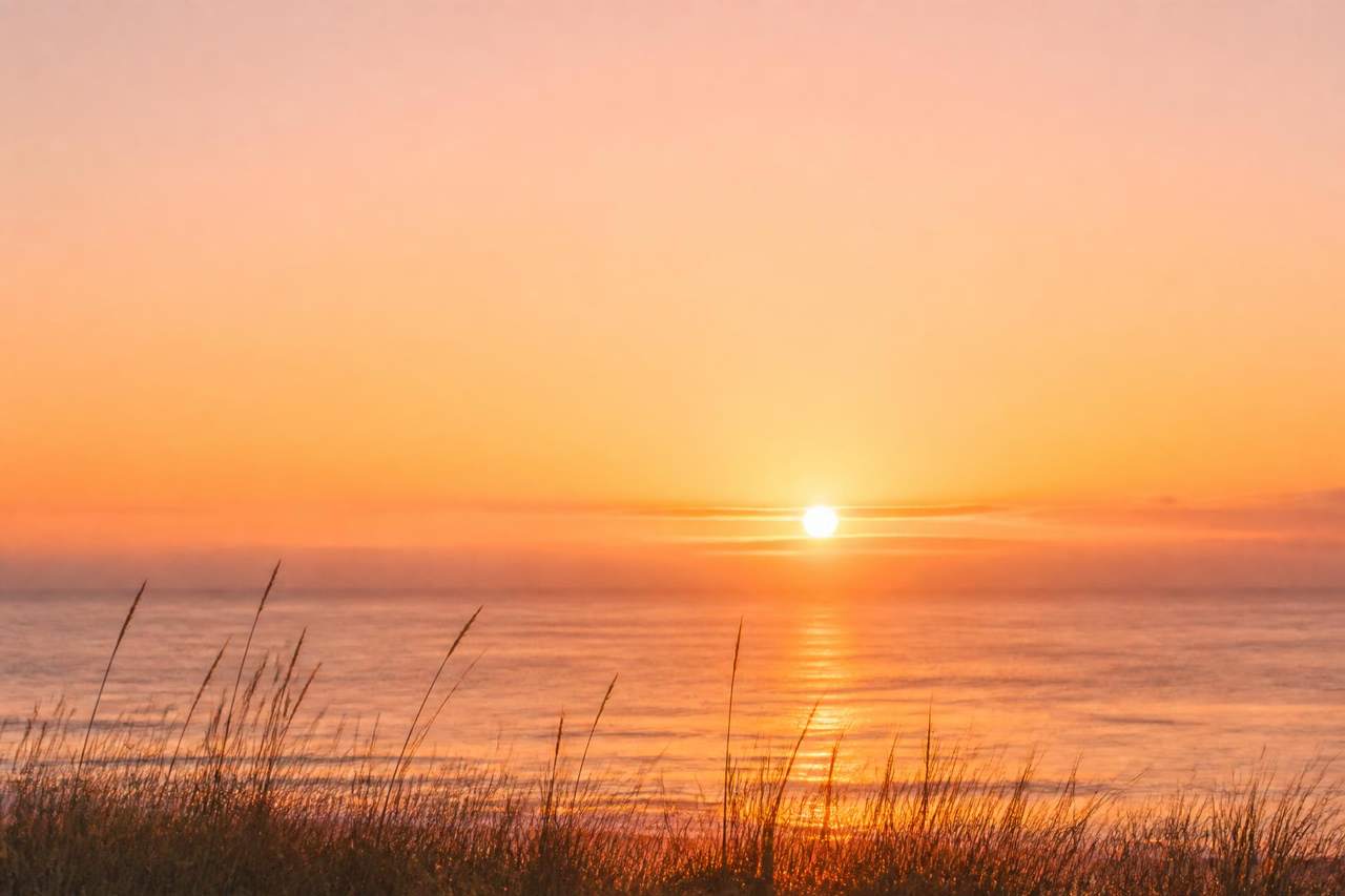 Low sun over a calm sea at first light, dune grasses in the foreground